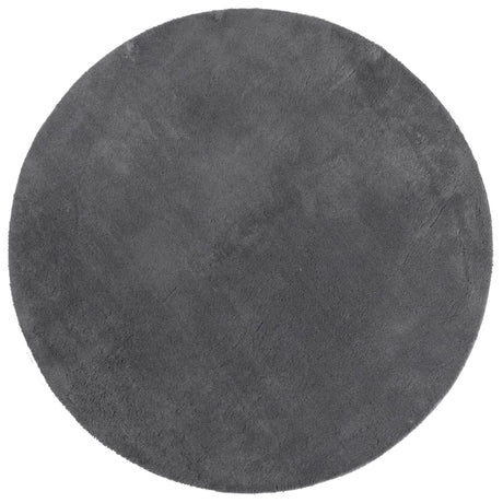 Vidaxl Teppich Huarte Kurzflor weich waschbar ø 120 cm Anthrazit