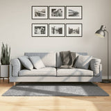 VidaXL Teppich Pamplona Shaggy Hochflor Modern 80x150 cm Grau