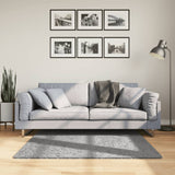 VidaXL Teppich PAMPLONA Shaggy Hochflor Modern 120x120 cm Grau