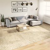 Vidaxx Teppich Pamplona Shaggy Hochflor Modern 300x400 cm Gold