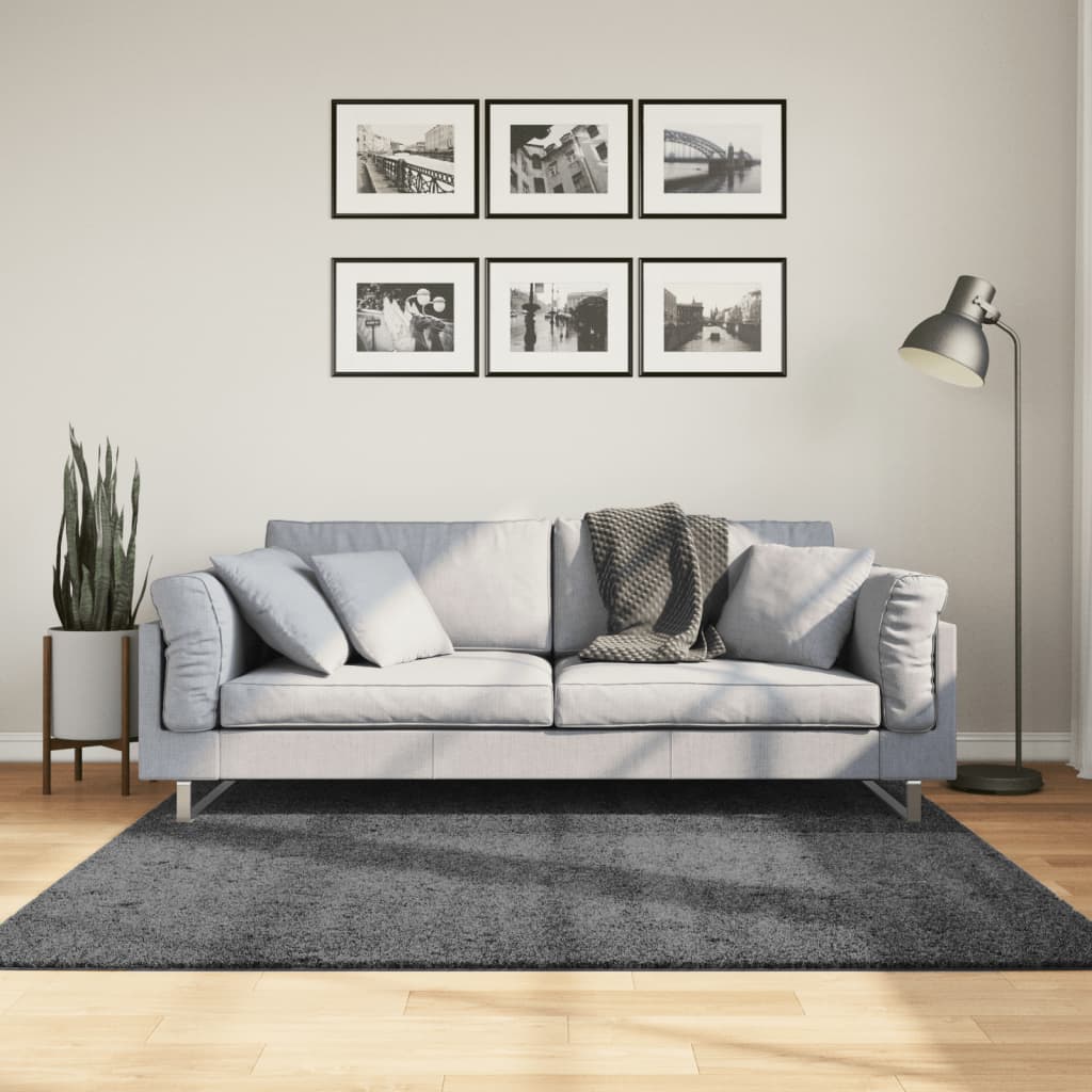 VidaXL Teppich OVIEDO Niederflor 160x160 cm Anthrazit