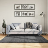 VidaXL Teppich OVIEDO Niederflor 160x160 cm Anthrazit