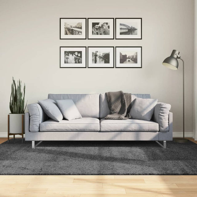 Vidaxx Teppich Oviedo Niederflor 160x230 cm Anthrazit