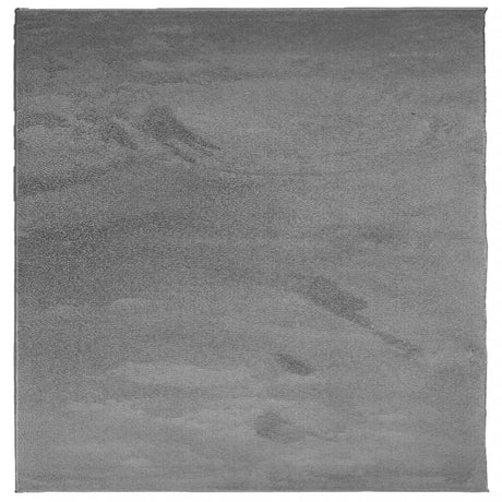 Vidaxx Teppich Oviedo Niederflor 200x200 cm Anthrazit