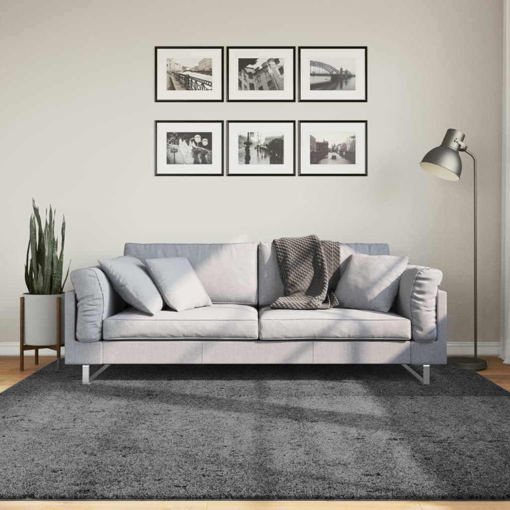 VidaXL Teppich OVIEDO Niederflor 200x200 cm Anthrazit