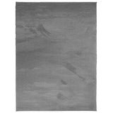VidaXL Teppich OVIEDO Niederflor 240x340 cm Anthrazit