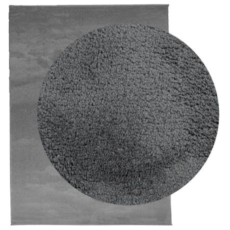 VidaXL Teppich OVIEDO Niederflor 240x340 cm Anthrazit