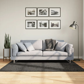 Vidaxl Teppich Istan Hochflor glänzend 120x170 cm Anthrazit