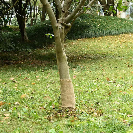 VidaXL Juterolle 200 g m² 0,25x15 m 100 % Jute