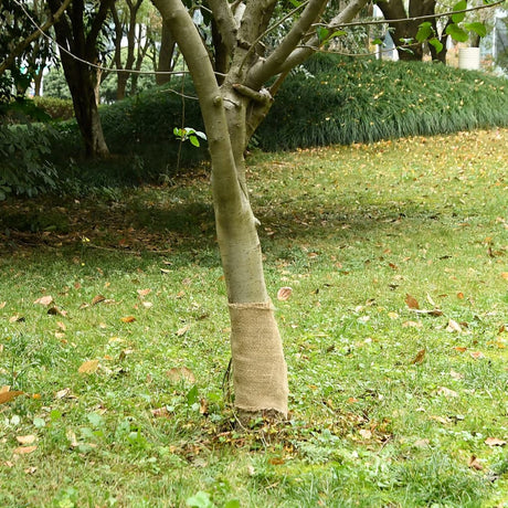 Vidaxxl Juterolle 200 g m² 0,25x50 m 100 % Jute