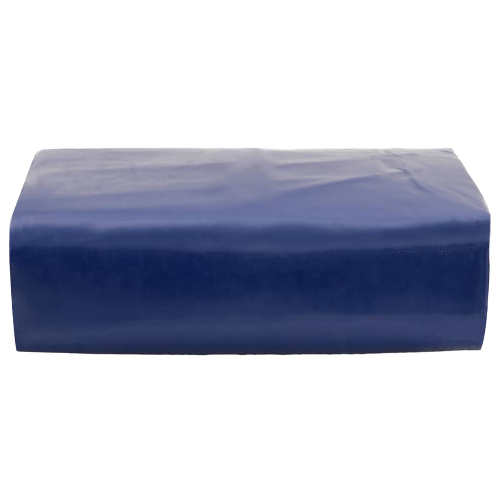 Vidaxx Plane 650 g m² 4x6 m blau