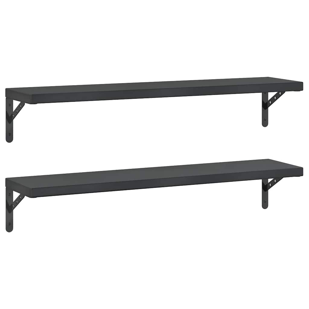 Vidaxl wandschappen 2 st 100x23,5 cm roestvrijstaal zwart