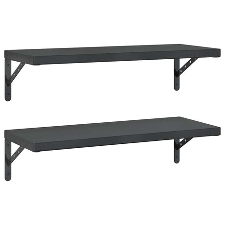 Vidaxl wandschappen 2 st 75x30 cm roestvrijstaal zwart