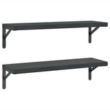 Vidaxl wandschappen 2 st 75x23,5 cm roestvrijstaal zwart