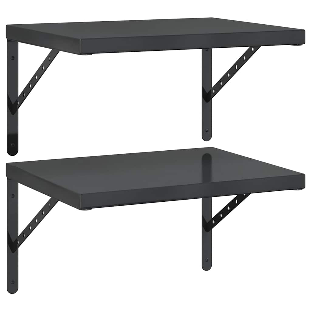 Vidaxl wandschappen 2 st 50x40 cm roestvrijstaal zwart