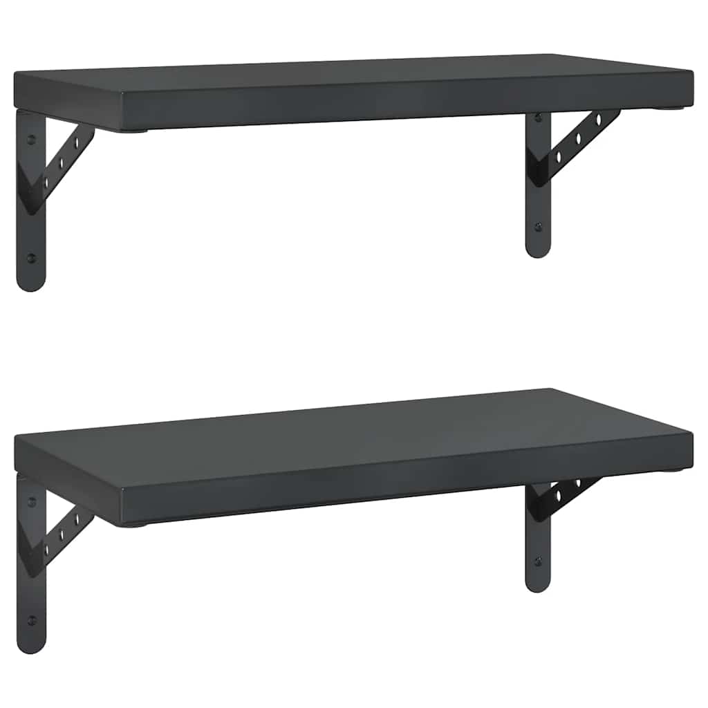 Vidaxl wandschappen 2 st 50x23,5 cm roestvrijstaal zwart
