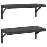 Vidaxl wandschappen 2 st 50x23,5 cm roestvrijstaal zwart