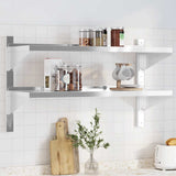Vidaxl wandschap 2-laags 100x40x60 cm roestvrijstaal zilverkleurig