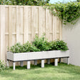Vidaxx Pflanzgefäß mit Beinen 160x40x42 cm Polypropylen weiß