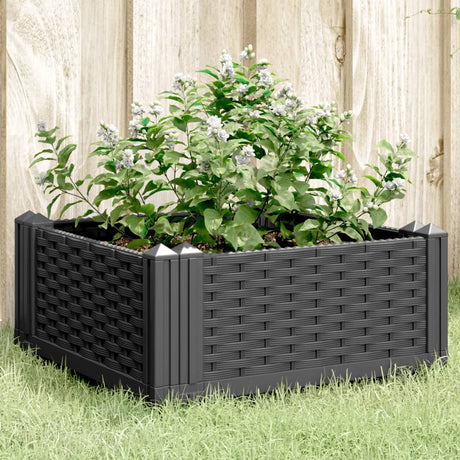 Vidaxx Pflanzgefäß mit Zapfen 42,5x42,5x28,5 cm Polypropylen schwarz