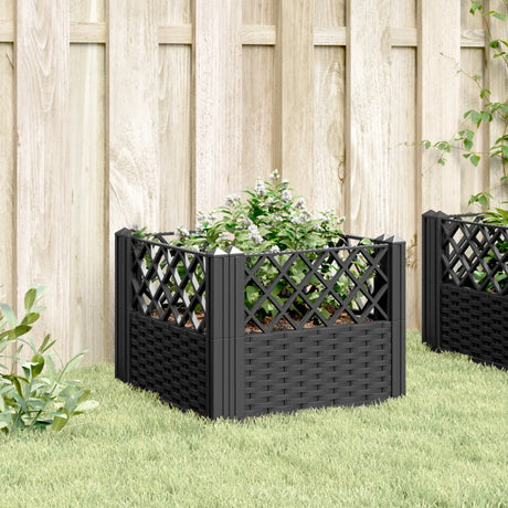 Vidaxx Pflanzgefäß mit Stiften 43,5x43,5x43,5 cm Polypropylen schwarz