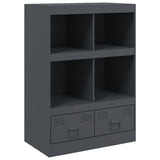 Vidaxl hoge kast 67x39x95 cm staal antracietkleurig
