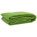 Vidaxl tenttapijt 200x300 cm hdpe lichtgroen