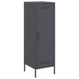 Vidaxl hoge kast 36x39x113 cm staal antracietkleurig