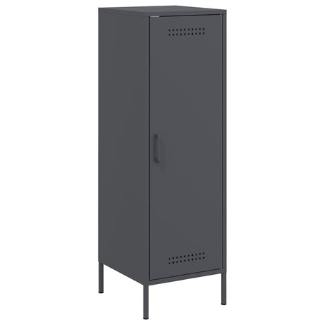 Vidaxl hoge kast 36x39x113 cm staal antracietkleurig