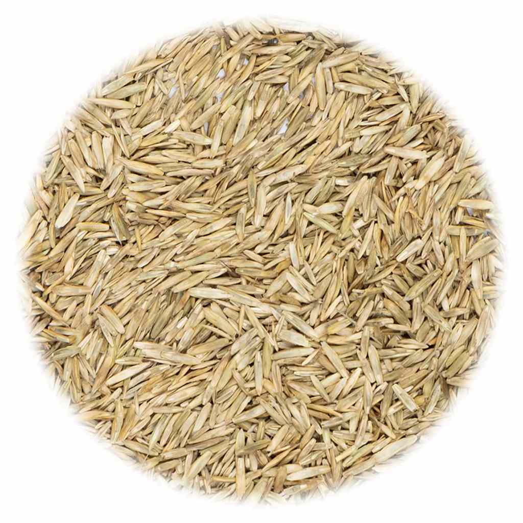 VidaXL Grassamen 5 kg