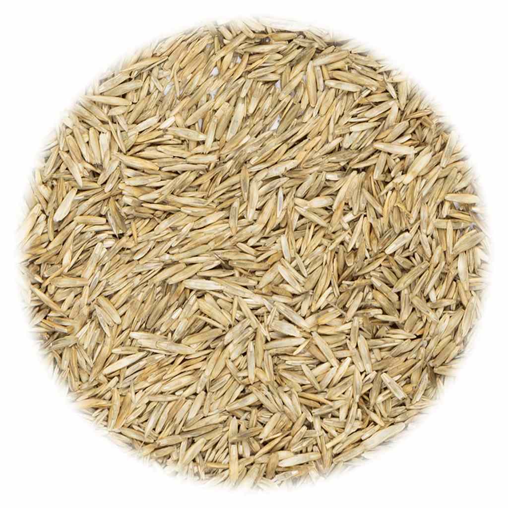 VidaXL Grassamen 10 kg