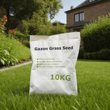 VidaXL Grassamen 10 kg