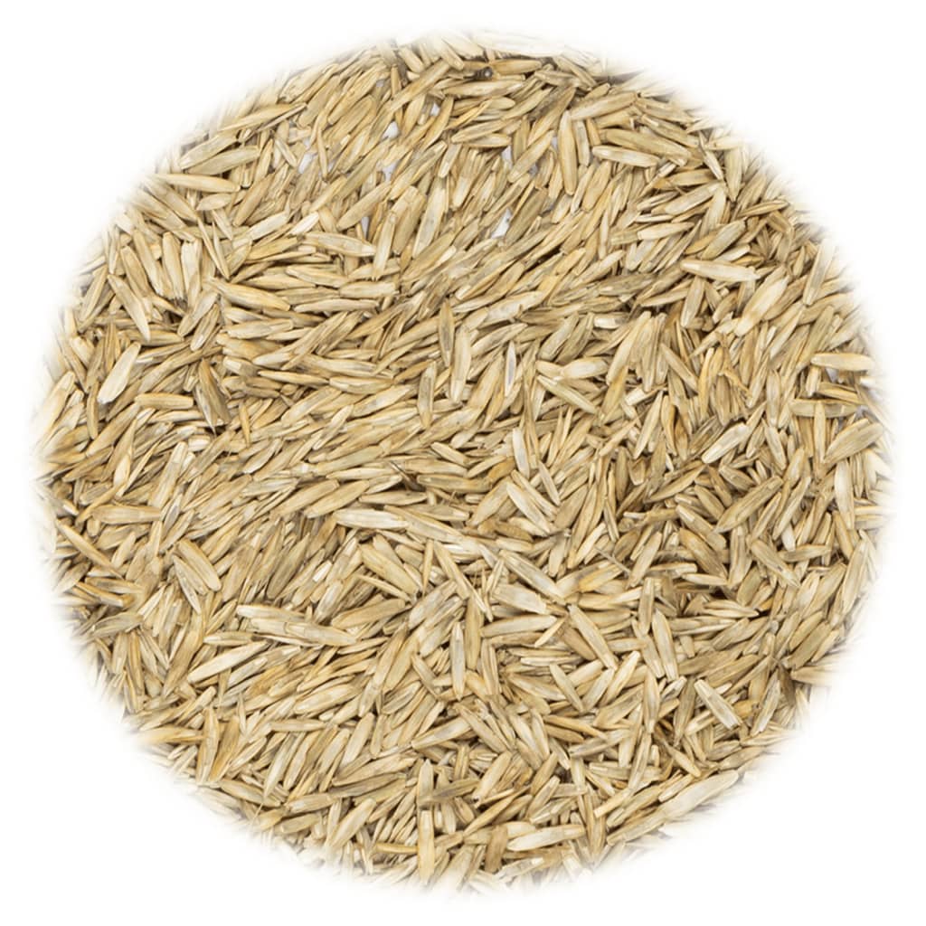 VidaXL Grassamen 30 kg