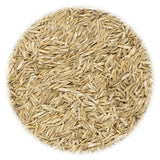 VidaXL Grassamen 30 kg