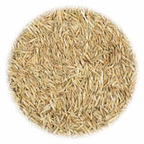 VidaXL Grassamen gegen Trockenheit und Hitze 10 kg