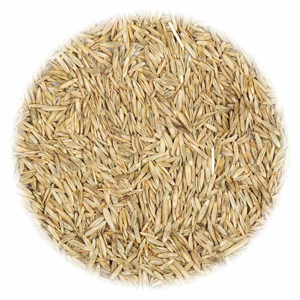 VidaXL Grassamen gegen Trockenheit und Hitze 20 kg