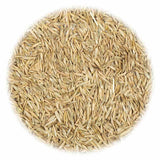 VidaXL Grassamen gegen Trockenheit und Hitze 20 kg