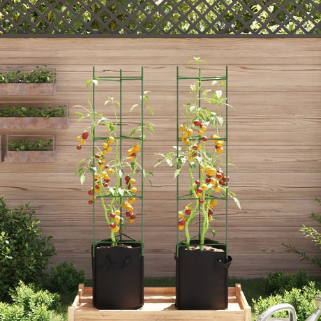 Vidaxl Tomatenkäfig mit Pflanzbeutel 2 Stück 154 cm Stahl und Polypropylen