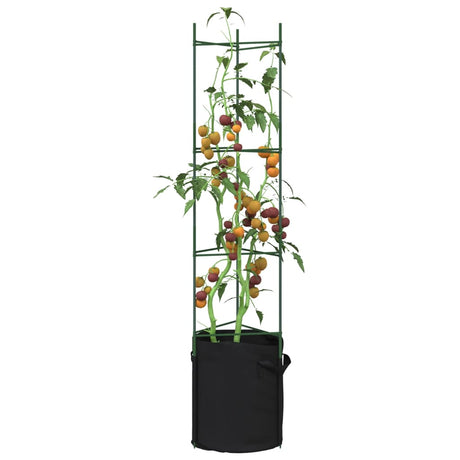 Vidaxl Tomatenkäfig mit Pflanzbeutel 2 Stück 154 cm Stahl und Polypropylen