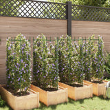 Vidaxl Tomatenkäfige 8 Stück 116 cm Stahl und Polypropylen