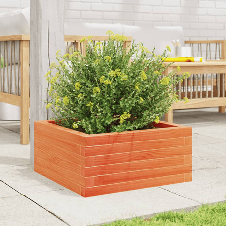 Vidaxx Pflanzgefäß 50x50x23 cm massives Kiefernholz, braun gewaschen