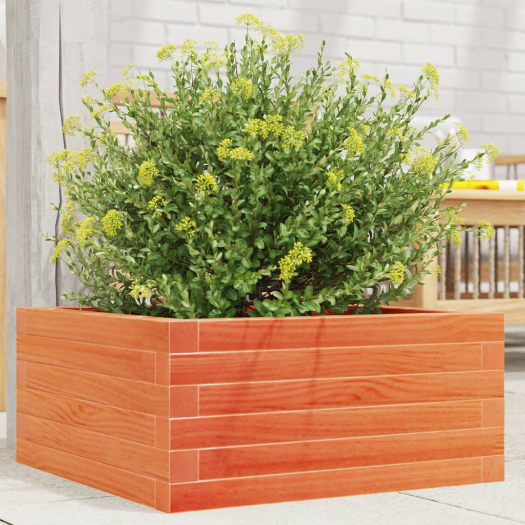 Vidaxx Pflanzgefäß 50x50x23 cm massives Kiefernholz, braun gewaschen