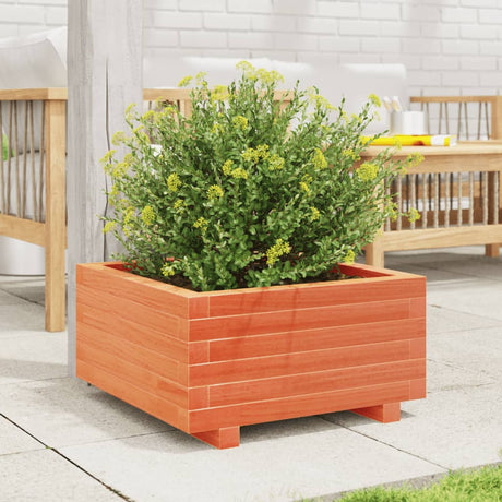 Vidaxx Pflanzgefäß 50x50x26,5 cm massives Kiefernholz, braun gewaschen