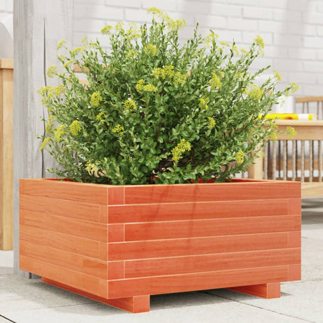 Vidaxx Pflanzgefäß 50x50x26,5 cm massives Kiefernholz, braun gewaschen