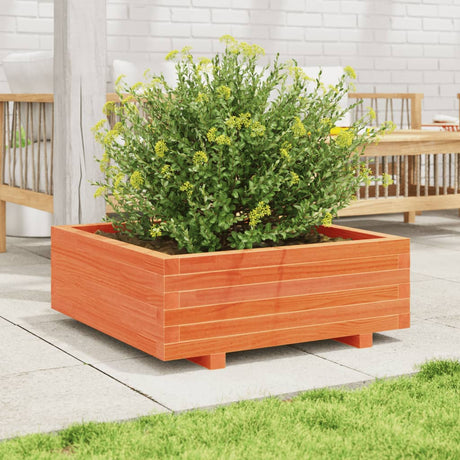 Vidaxx Pflanzgefäß 70x70x26,5 cm massives Kiefernholz, braun gewaschen