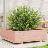 Vidaxx Pflanzgefäß 80x80x26,5 cm massives Douglasholz