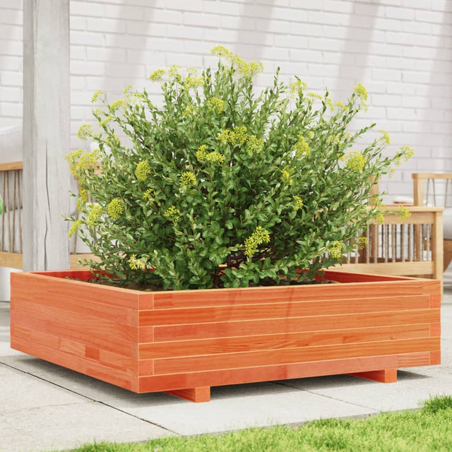 Vidaxx Pflanzgefäß 90x90x26,5 cm massives Kiefernholz, braun gewaschen