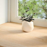 Vidaxx Fensterbänke 2 Stück unbehandelt 80x40x2 cm massive Eiche