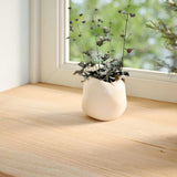 Vidaxx Fensterbänke 2 Stück unbehandelt 160x40x2 cm massive Eiche