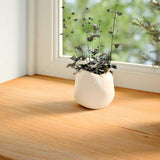 Vidaxx Fensterbänke 2 Stk. 110x20x2 cm Eiche massiv hellbraun